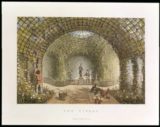 The Vinery, from 